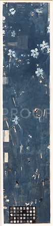 20230619_MG_4746_liz-douglas_5D