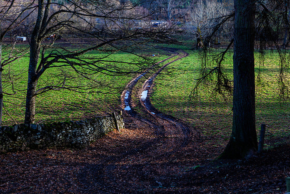 Traquair Track_7089