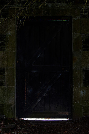 The Black Door_4179