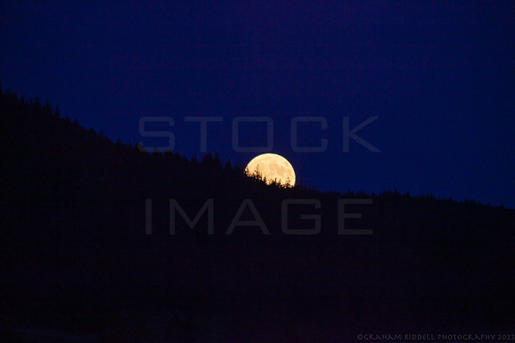 20230603_MG_4611-strawberry-moon_5D