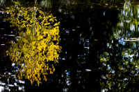 20261022-_MG_6008-90D