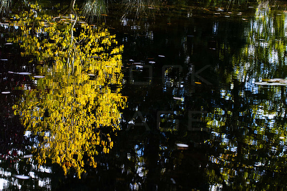 20261022-_MG_6008-90D