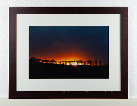 Sunset behind Pine Trees