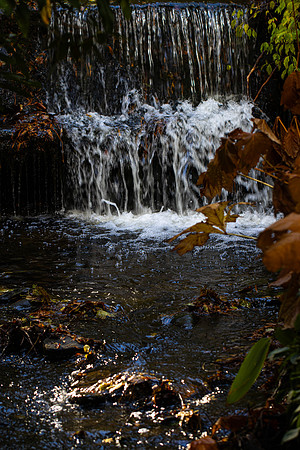 20261022-_MG_6044-90D
