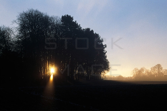 Evening Beckons