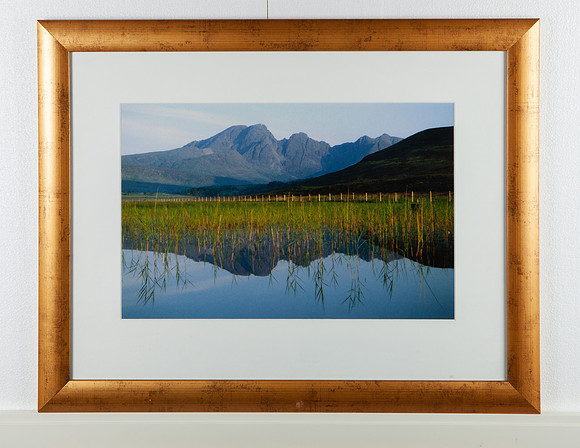 Cullins in Reflection