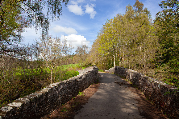 Old Manor Brig_4323-spring-2023_5D