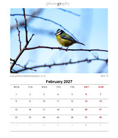 03_Feb_2027 Desk Calendar_118x138_GR-3