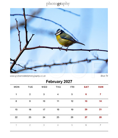 03_Feb_2027 Desk Calendar_118x138_GR-3