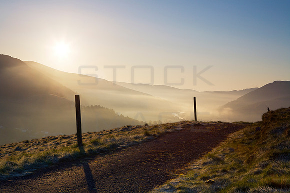 Tweed Valley Sunrise_9466