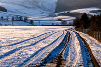 Winter Farm Tracks_2401_local