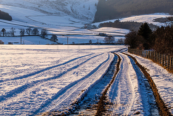 Winter Farm Tracks_2401_local