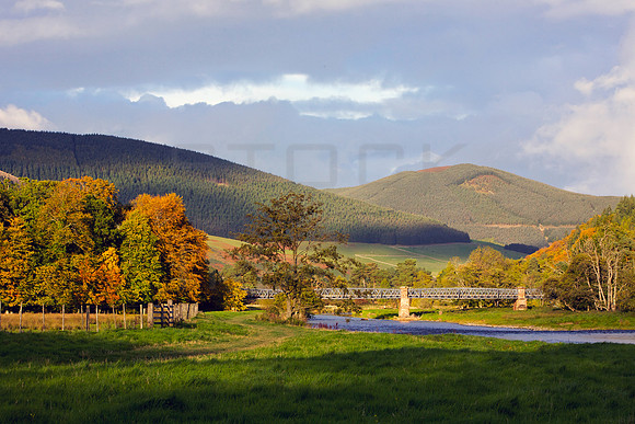 The Late Afternoon in Autumn_6909_sh