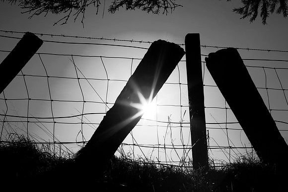 The Light beyond the Fence_8068