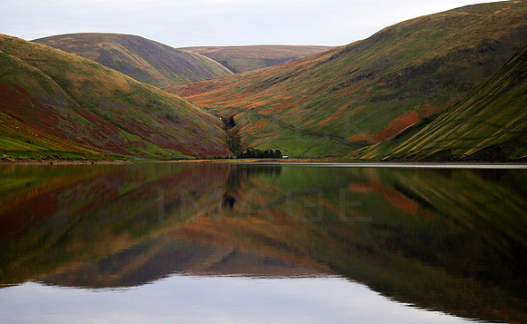 Talla Reflections_e
