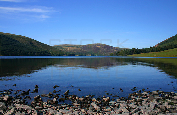 Tranquil Shore