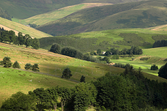 Leithen Valley_0097