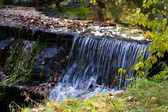 20261022-_MG_6016-90D