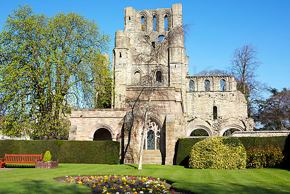 Kelso Abbey from the Memorial Garden_9465