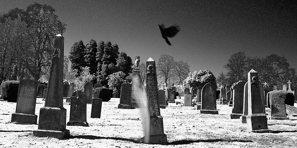 Ghost_9521