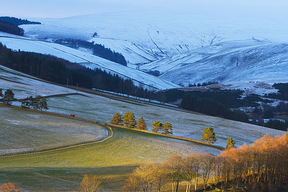 Warm Light on a Cool Landscape_8948