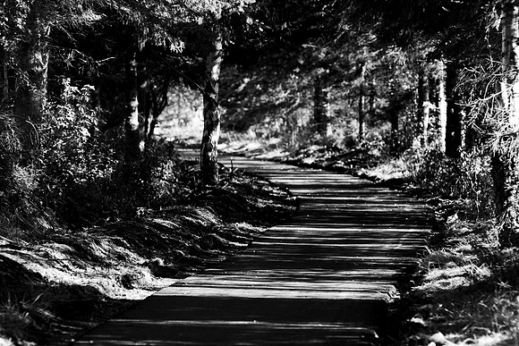 Deviation_3298