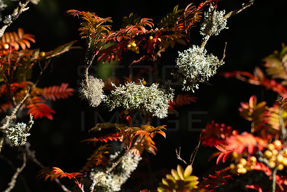 20261022-_MG_6003-90D