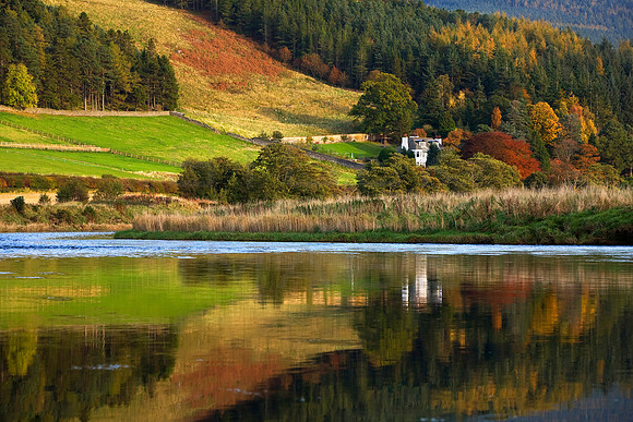 'Tighnuilt' in Autumn Colours_0585