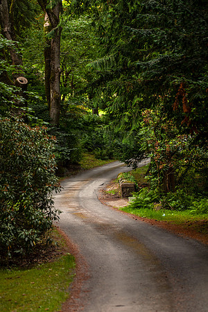 Twisting through Kailzie_4883-5D