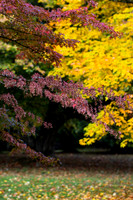 20261022-_MG_6023-90D