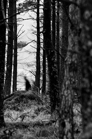 Spirit of the Wood_8340