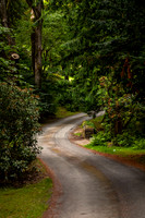 Twisting through Kailzie_4883-5D