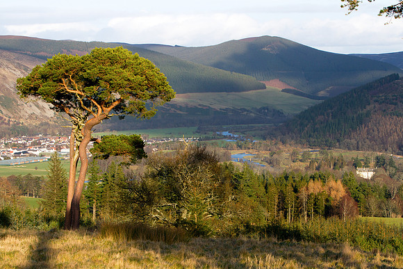 Tweed Valley and Traquair House_9035