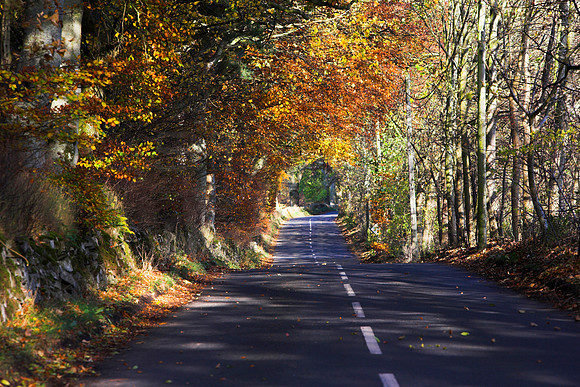 Autumn Road Manor_1023