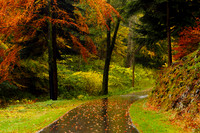 As Autumn Turns_8530