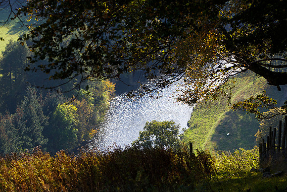 Autumn Light on Tweed_2561