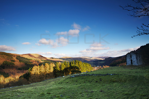 Elibank Castle Ruin_6305_z