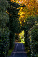 20261022-_MG_6011-90D