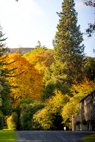 20261022-_MG_6000-90D