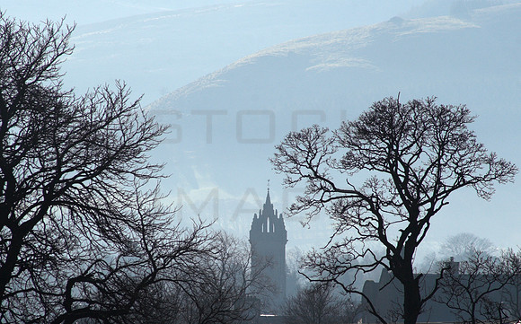 Steeple Beyond the Trees