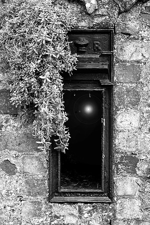 Light in the Darkeness_8719