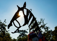Horse Head Sculpture_5416_5D- local