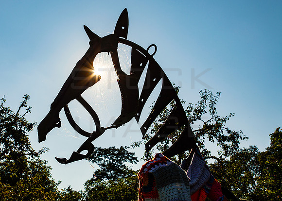 Horse Head Sculpture_5416_5D- local