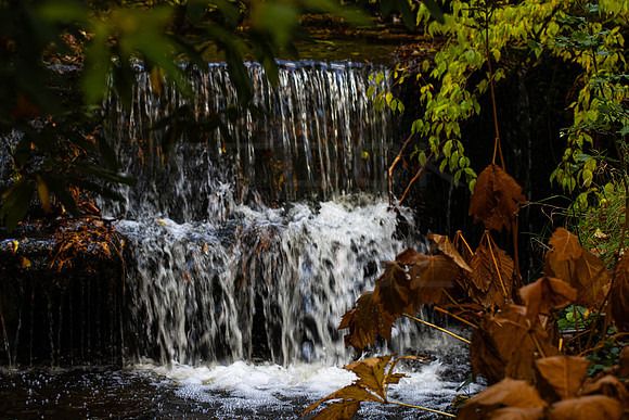 20261022-_MG_6045-90D