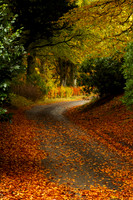 A Drive through Autumn_8526