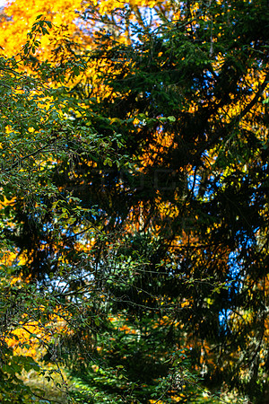 20261022-_MG_6048-90D