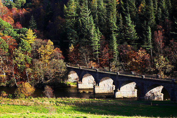 Neidpath Railway Viaduct_1028