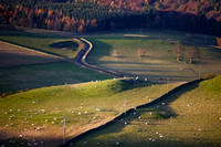 The Sware_0636_s