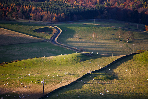 The Sware_0636_s