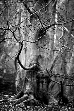 Reaching Out_8234